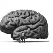 BRAIN – il Cervello – Istruzioni per l’uso