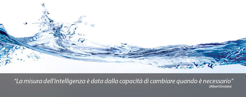 Evoluzione