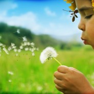 Propositi di inizio anno nuovo:  lasciare andare